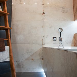 Inšpirácia kúpeľne č. 17, dizajn Kov